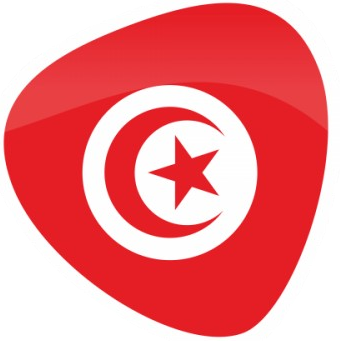Gold Detectors in Tunisia flag
